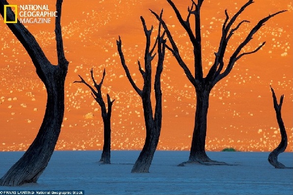 Photo by Frans Lanting of Namib-Naukluft Park for National Geographic